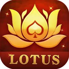 rummy cool login download